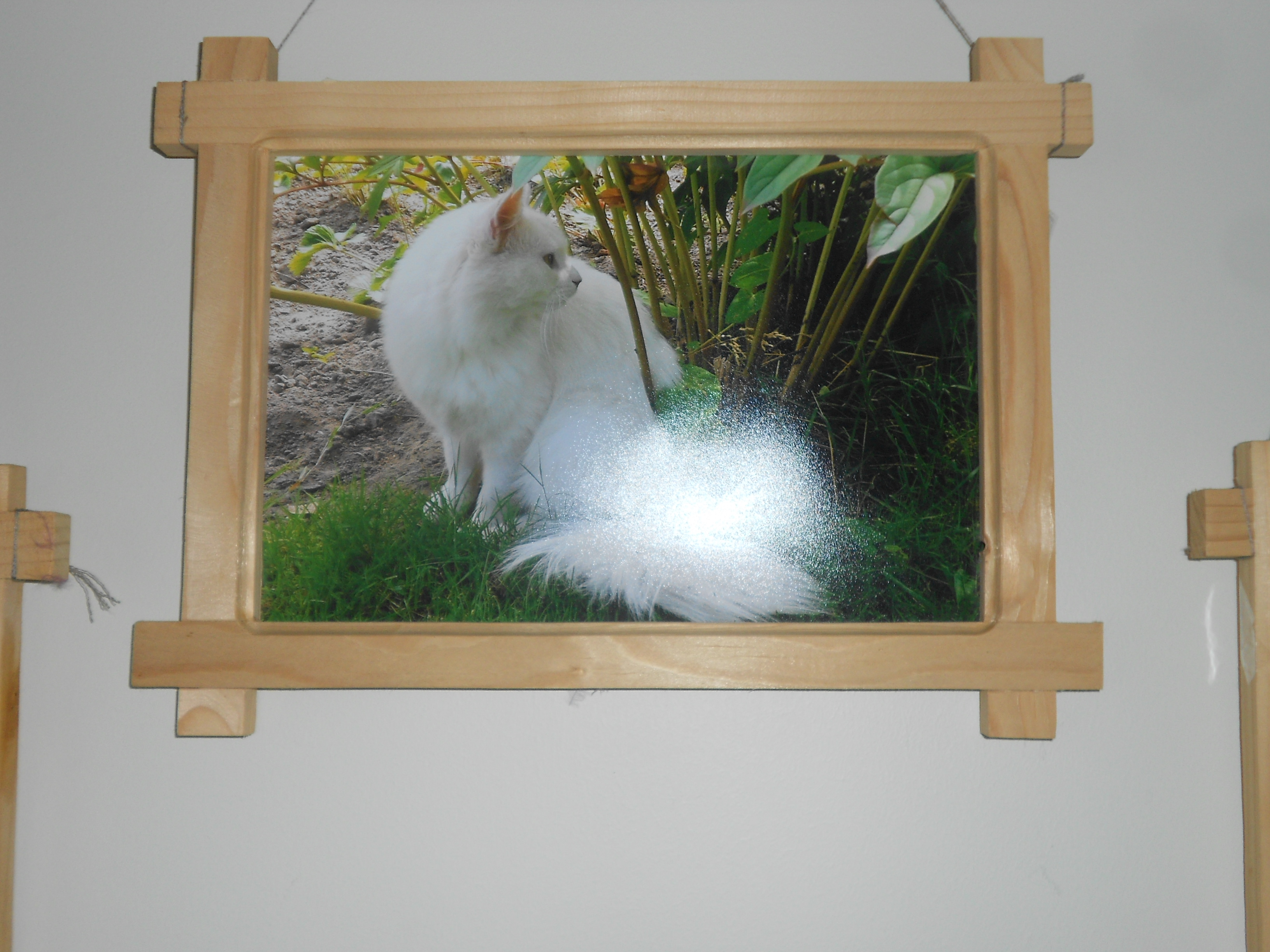 Skaidrītes Vjaksas fotoizstāde